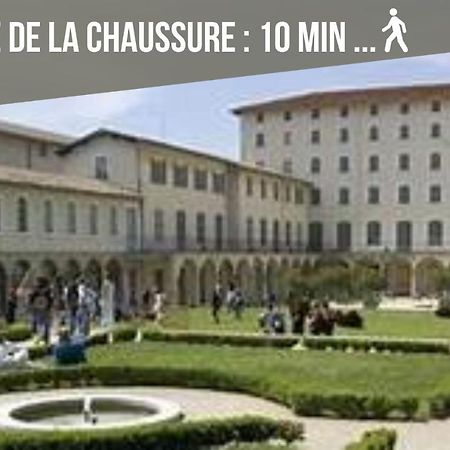 Le Bouquiniste, Centre Historique, Fibre, Ess, Rez-De-Chaussee, Bedinshop Роман-сюр-Ізер Екстер'єр фото